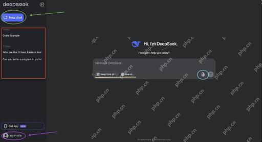 DeepSeek电脑网页版工作区