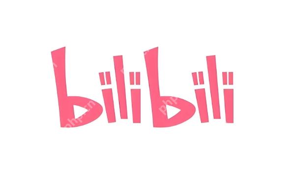 B站日本高清大片视频入口 bilibili2025高清在线看大片 - php中文网