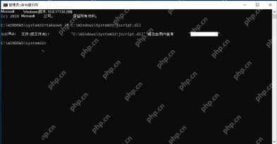 Windows 管理员命令提示符显示命令成功完成结果