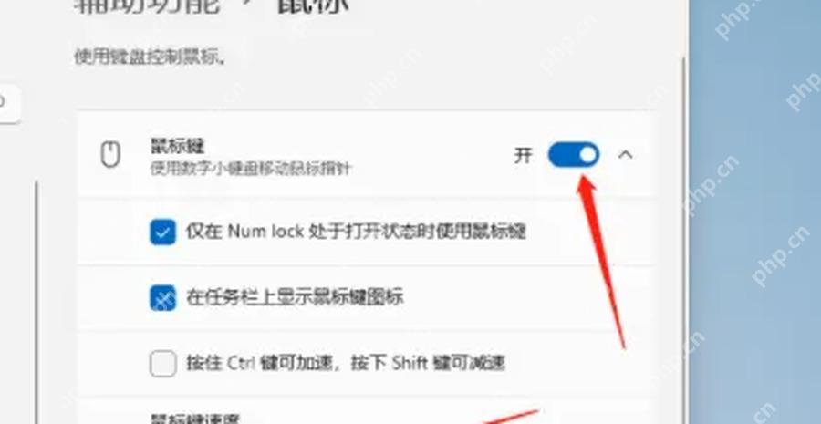 Win11 辅助功能鼠标页面打开鼠标键开关