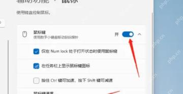Win11 辅助功能鼠标页面打开鼠标键开关