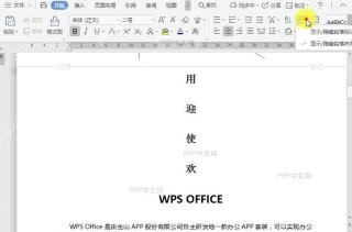 WPS如何显示/隐藏段落标记？设置效果