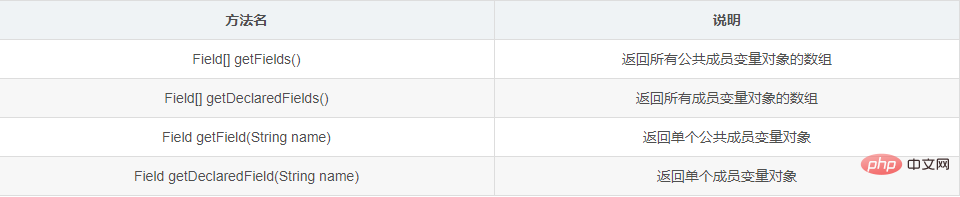 Was ist das Prinzip des Reflexionsmechanismus von Java?