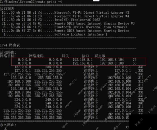 Win11 命令窗口显示 route print 路由表信息