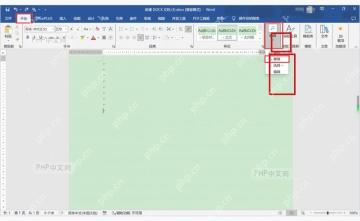 Word 开始选项卡中打开替换菜单进入查找和替换窗口