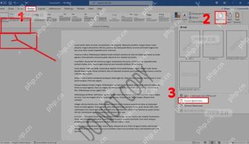 第三步打开水印菜单的 Word 操作界面