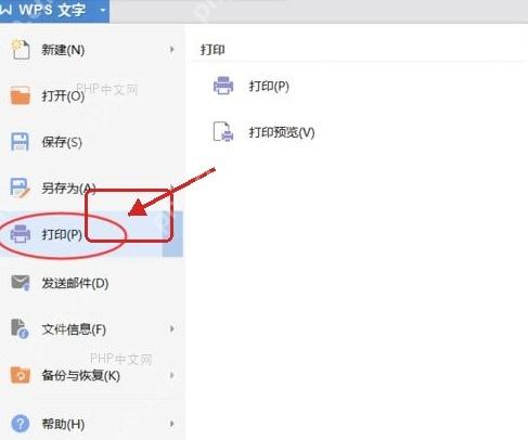 WPS文字文件菜单里的打印入口