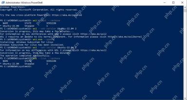 PowerShell 中执行 wsl set version 并复查发行版版本