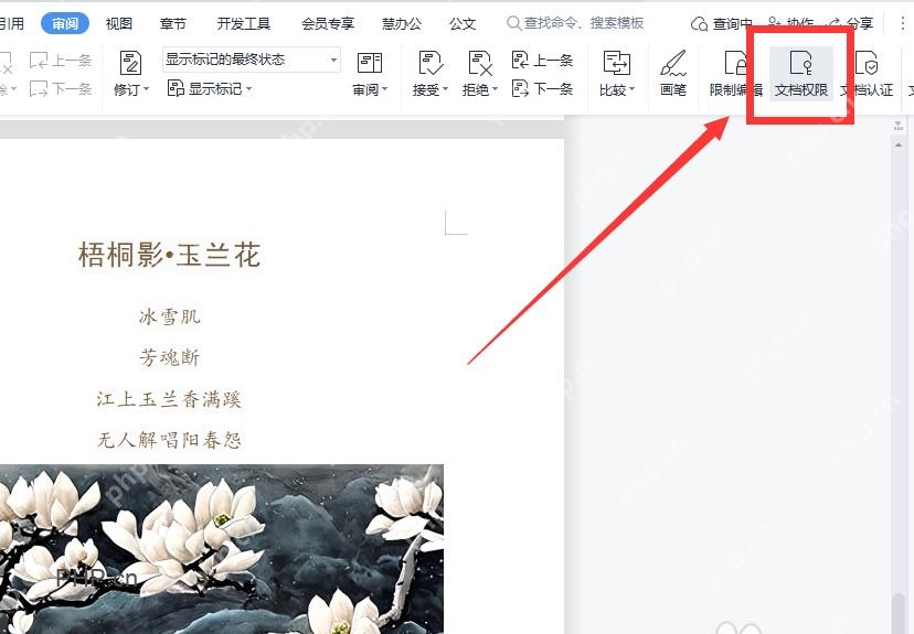 WPS审阅工具栏中文档权限按钮用于第二步打开权限窗口