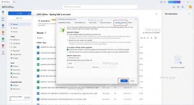WPS Office Configuration Tools 的 Update Settings 页面，已选中自动安装可用更新并可点击 OK 保存