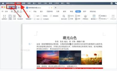 WPS 文字左上角文件入口，用于打开导出相关菜单