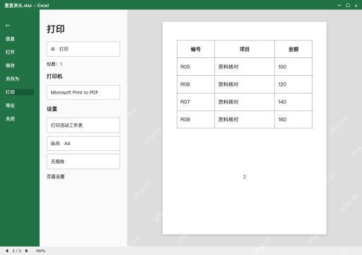 模拟 Microsoft Excel Windows桌面版 完整窗口:翻到第二页,确认字段和记录连续