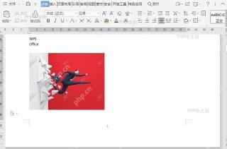 如何放大文档中插入图片的尺寸大小?入口位置