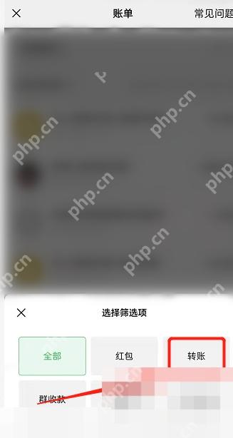 微信账单筛选项转账