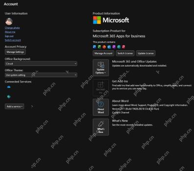 Word 账户页面显示 Microsoft 365 Apps 产品信息用于确认激活成功