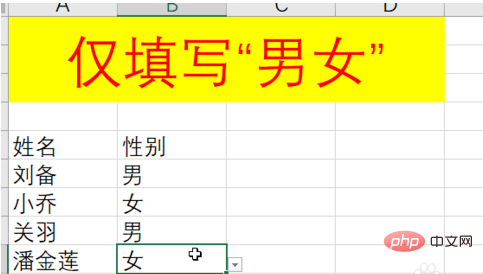 How to set excel male and female gender selection