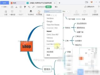 WPS如何修改思维导图中内容的字体? 选择字体名称