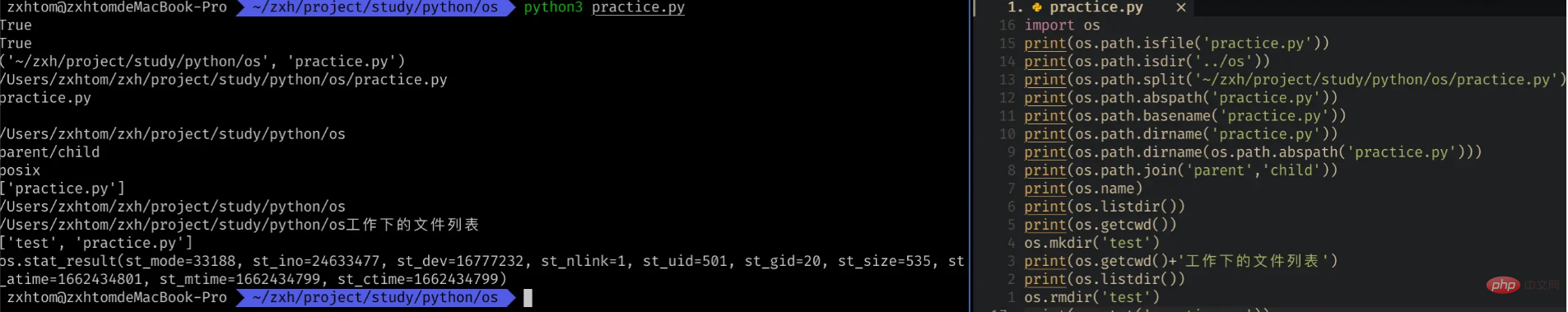 How does Pythons built-in module OS create a SHELL-side file processor?