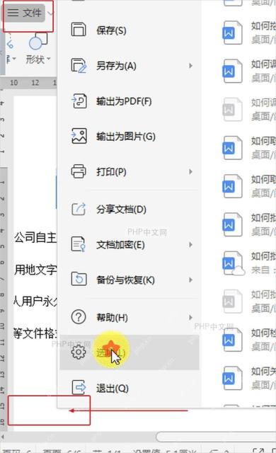 WPS文字文件菜单中进入选项入口