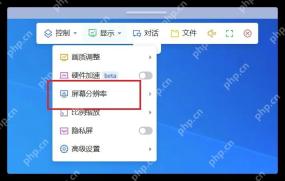 ToDesk Windows 显示菜单高亮比例缩放入口