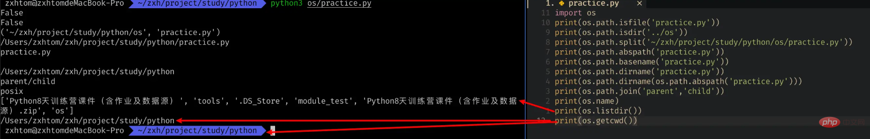 How does Pythons built-in module OS create a SHELL-side file processor?