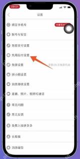 拼多多设置页面中的先用后付设置入口,证明进入功能管理页面的步骤
