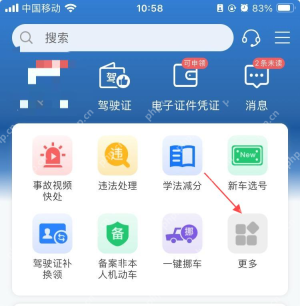 从交管12123首页点击更多进入业务中心