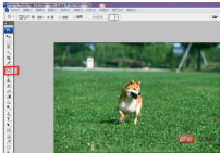 1567477438305196.png ps2018修補工具怎麼用