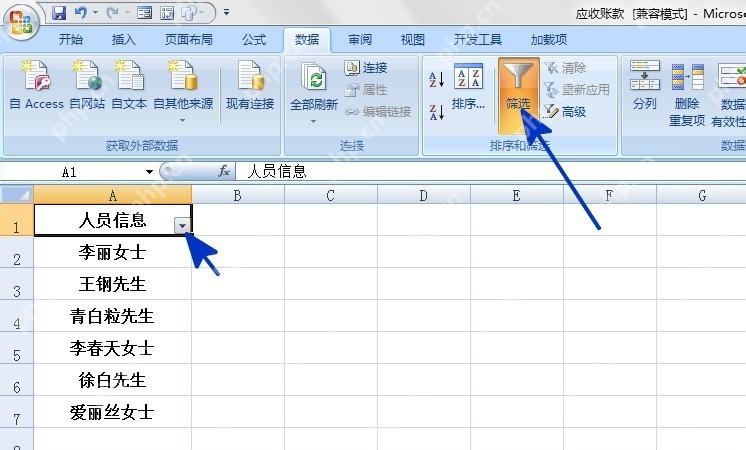 Excel 数据选项卡中开启筛选并在表头显示下拉箭头