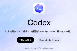 从需求到上线:CodexAI在产品开发流程中的作用解析 - php中文网