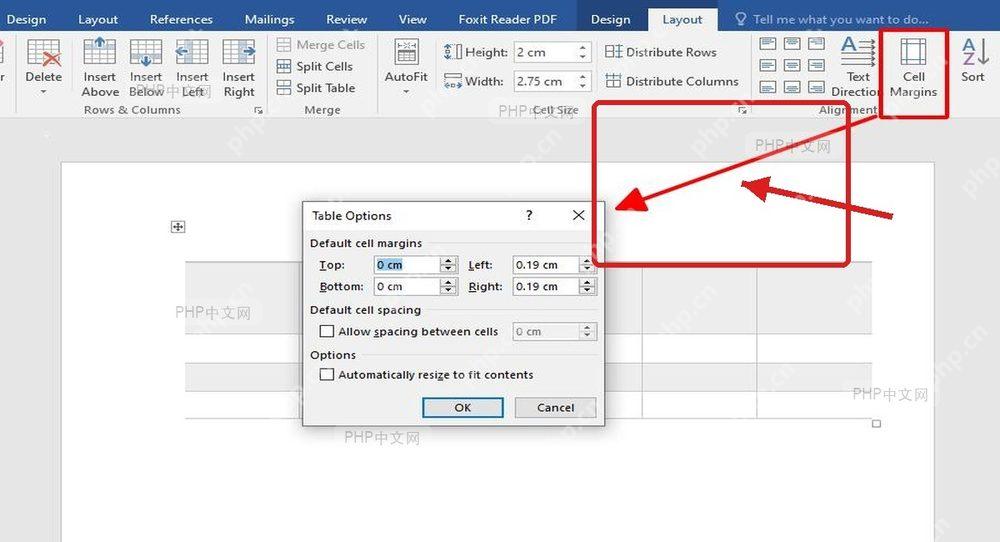 Word 表格工具 Layout 选项卡和 Cell Margins 入口