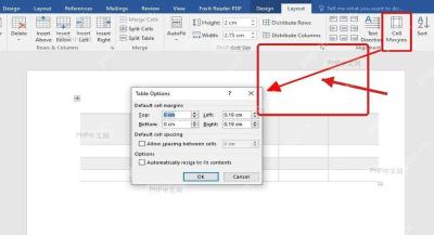 Word 表格工具 Layout 选项卡和 Cell Margins 入口