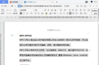 如何自定义WPS外观?入口位置