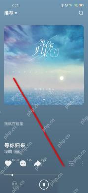 打开待设私密的歌单
