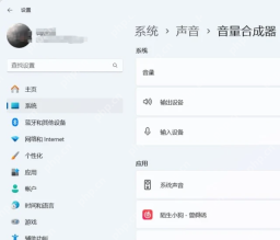 Windows 11 音量合成器中查看具体应用音量