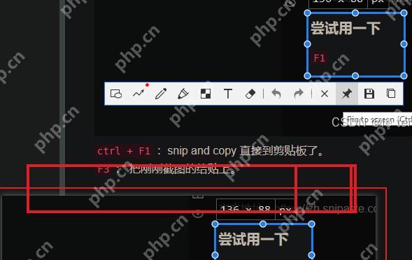Snipaste Windows 截图工具条高亮保存和复制相关按钮