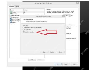 VMware Workstation Add Hardware Wizard Serial Port Type 页面选择 Output to named pipe
