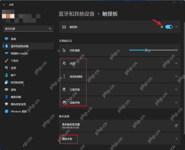 Windows 11 设置 蓝牙和其他设备 触摸板入口