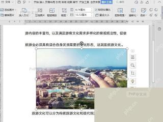 在 WPS 中拖动控制点调整图片大小