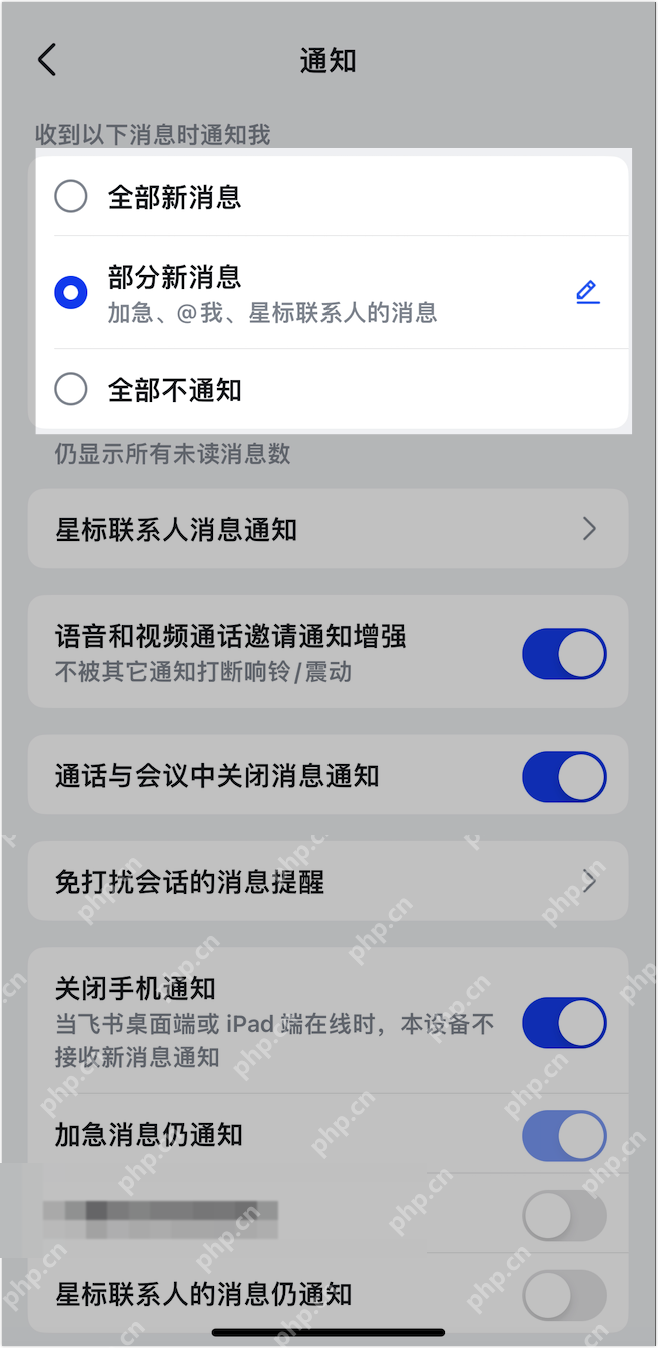飞书手机端通知页面显示全部新消息、部分新消息和全部不通知选项,证明调整消息推送范围的步骤