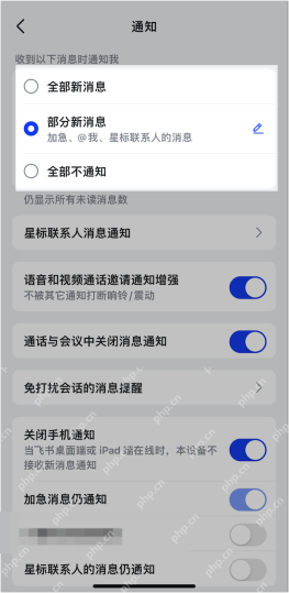 飞书手机端通知页面显示全部新消息、部分新消息和全部不通知选项,证明调整消息推送范围的步骤