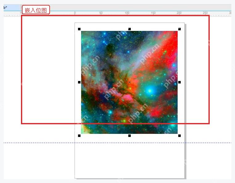 CorelDRAW 页面中已导入并选中的位图对象