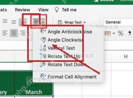 Excel 开始选项卡中打开方向菜单并框出竖排文字入口