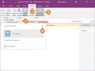 OneNote 历史记录选项卡和笔记本回收站入口,用来查找误删页面