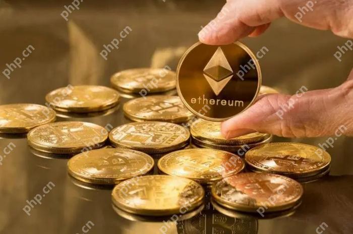 比特币如何发展起来 - php中文网