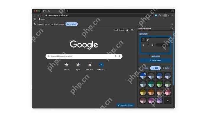Google Chrome 官方软件封面