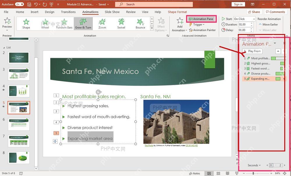PowerPoint 动画窗格中查看和调整动画顺序