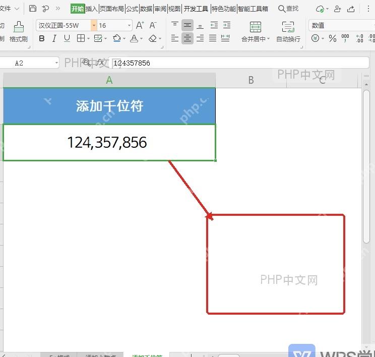 WPS表格数值单元格格式设置后的显示结果