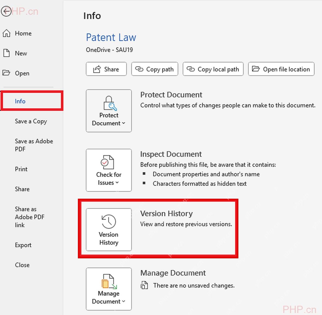 Word 信息页里的 Version History 按钮,用于进入历史版本