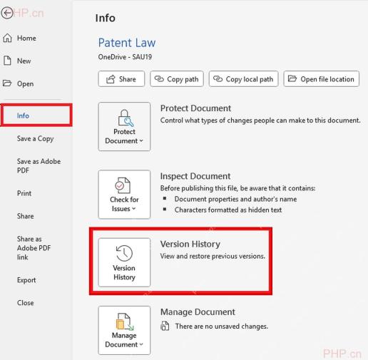 Word 信息页里的 Version History 按钮，用于进入历史版本